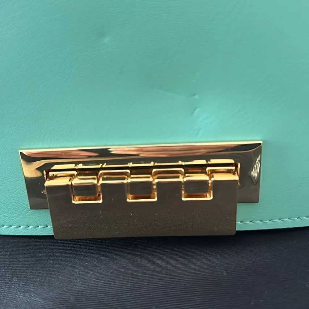 ZAC POSEN Earthette Leather Clutch + Dust Bag